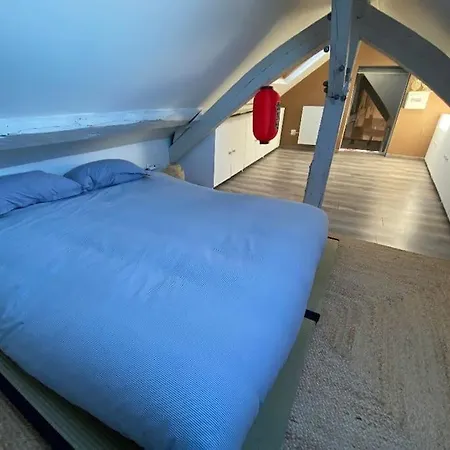 Sous Les Clochers De - Cathedrale *